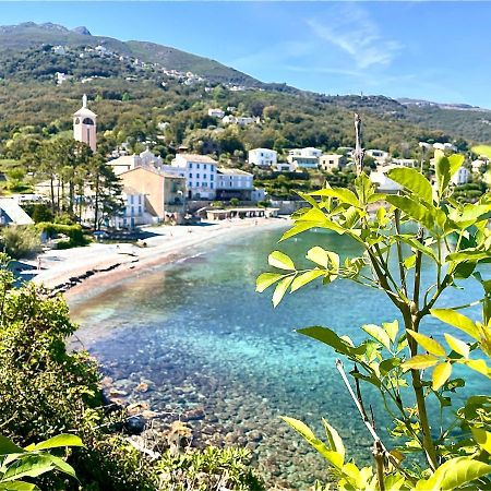 Апартаменты La Casa Poli Un Tiny Loft Au Cap Corse Брандо Экстерьер фото