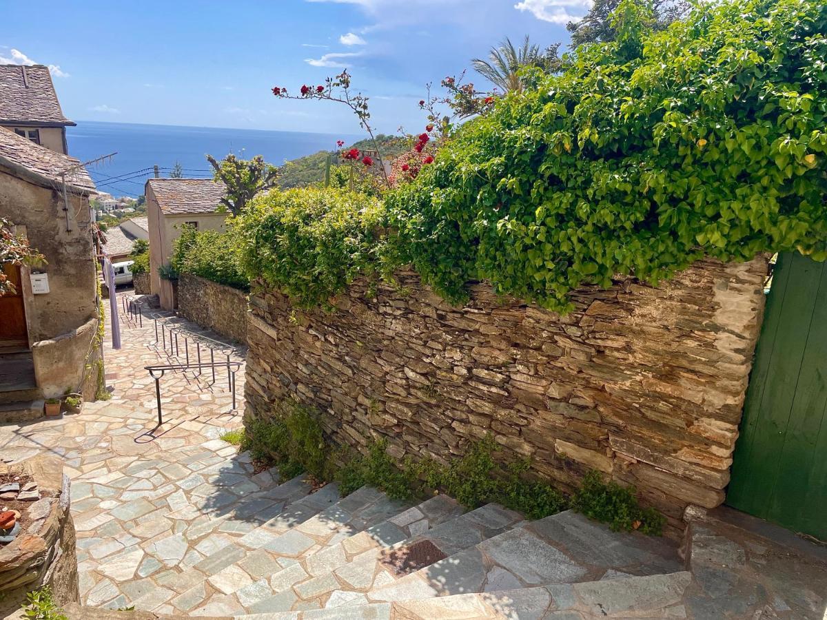 Апартаменты La Casa Poli Un Tiny Loft Au Cap Corse Брандо Экстерьер фото